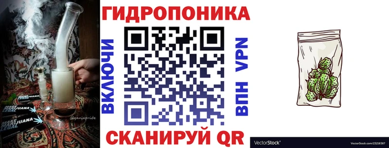 Бошки Шишки Amnesia  Назарово 